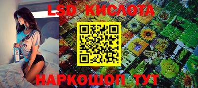 молекула духа Дмитров