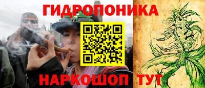 молекула духа Дмитров