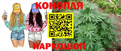 молекула духа Дмитров