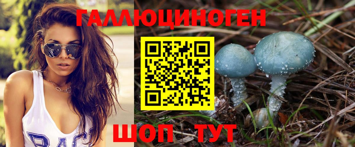 Псилоцибиновые грибы мицелий Ачинск